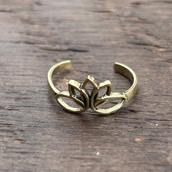 Brass-Works Pinkie / Adjustable Ring