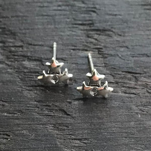Sterling Silver 'Cluster of Stars' Stud Earrings