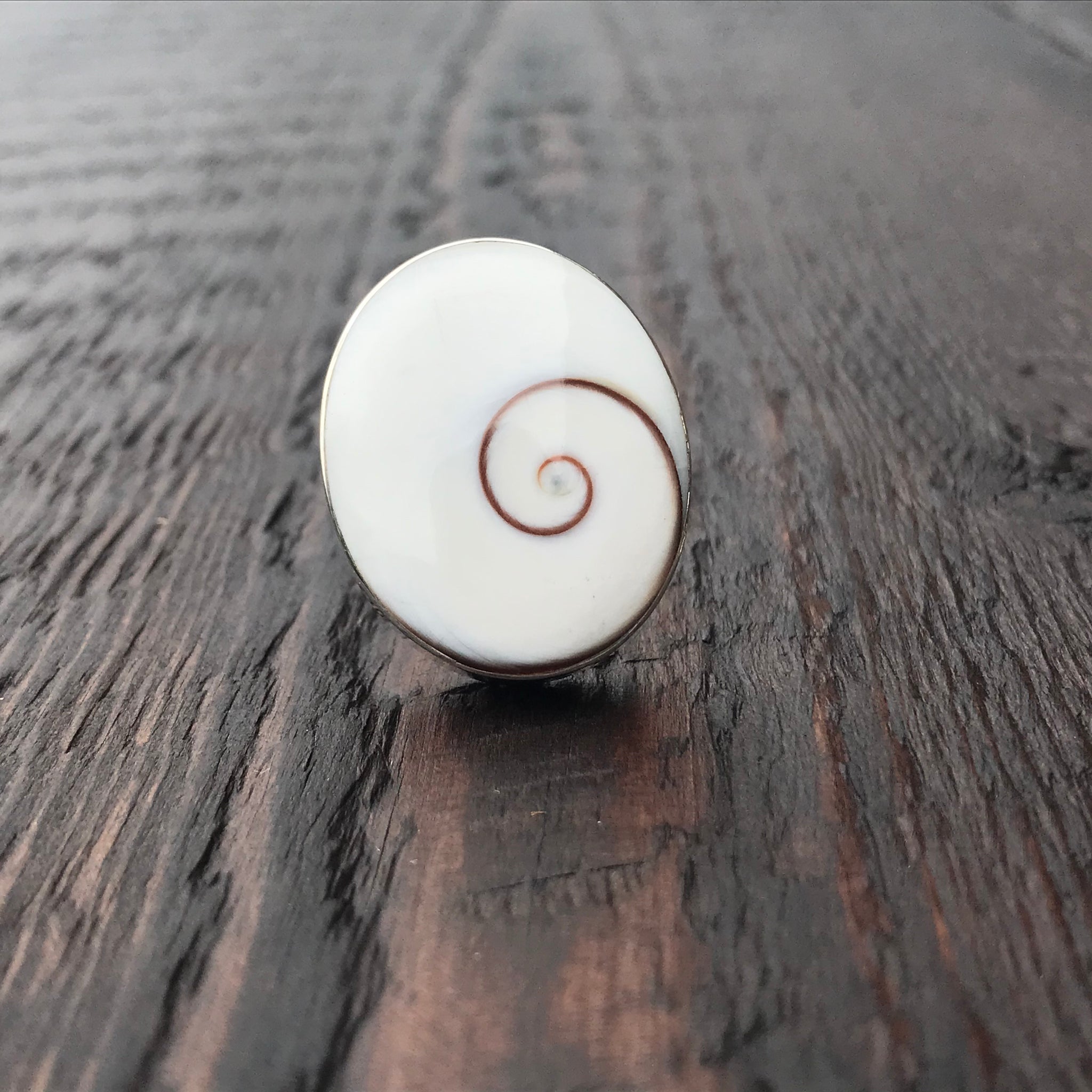 Oval Statement Shiva Shell Sterling Silver Ring